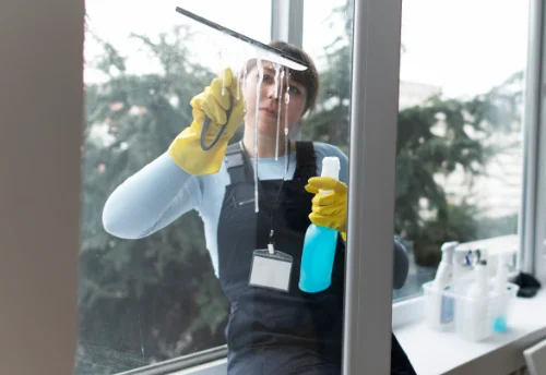 Nettoyage de vitres intérieures et extérieures à Bellegarde